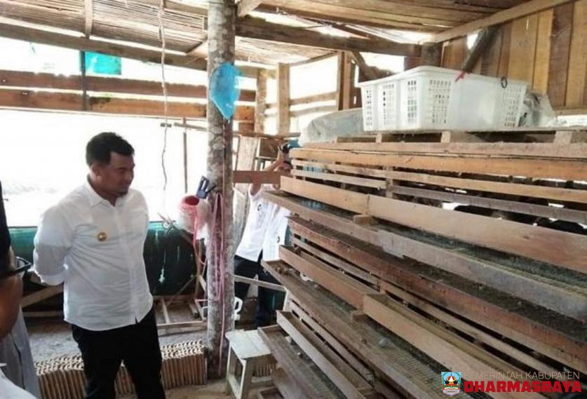 Sutan Riska Ajak Warga Kampung Dondan Bersiap Raup Rezeki